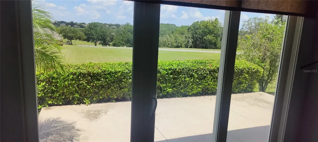 22011 Belgian Court Mount Dora FL 32757