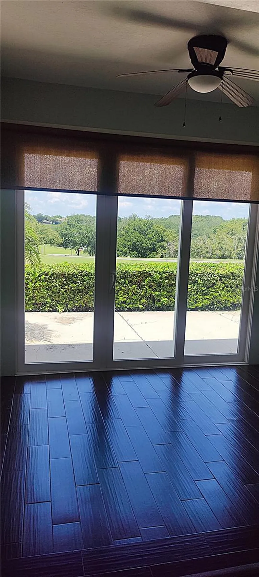22011 Belgian Court Mount Dora FL 32757