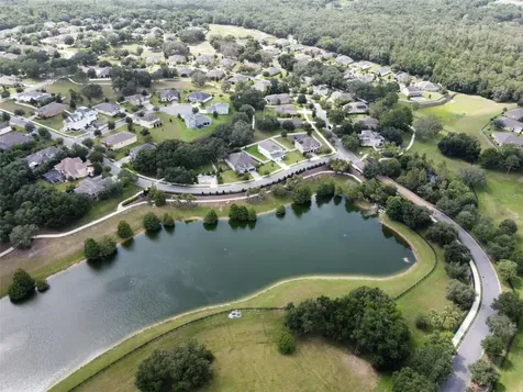 22011 Belgian Court Mount Dora FL 32757