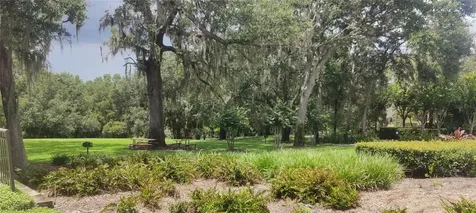 22011 Belgian Court Mount Dora FL 32757