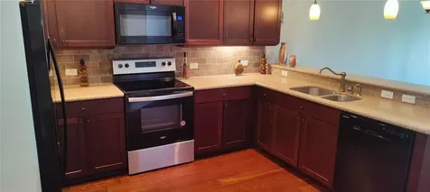22011 Belgian Court Mount Dora FL 32757