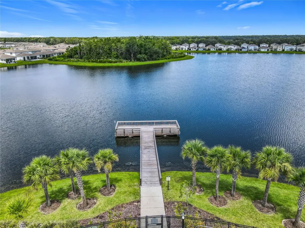 1254 Wispy Cypress Drive Kissimmee FL 34746