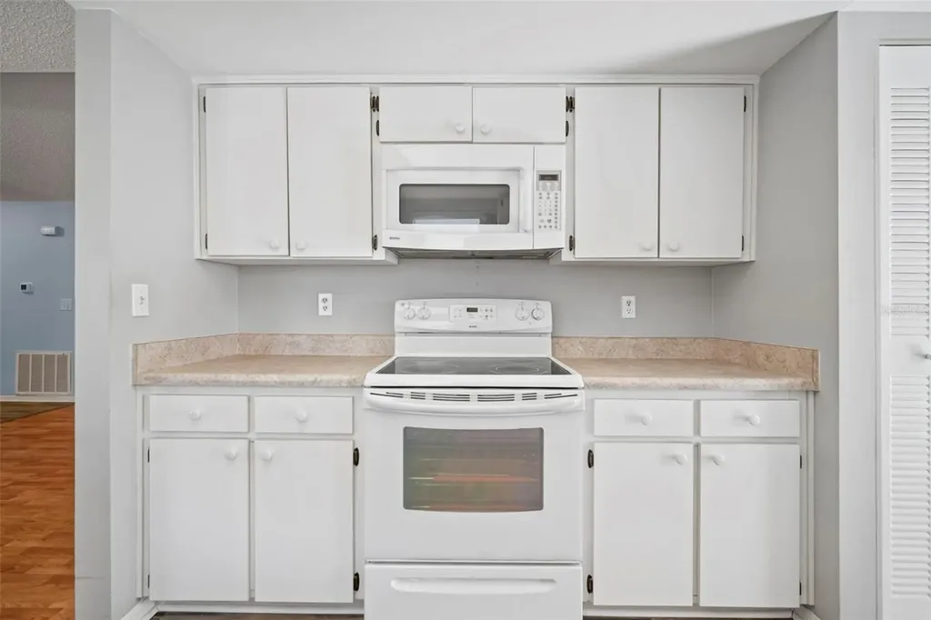 1609 Laughton Place Sun City Center FL 33573