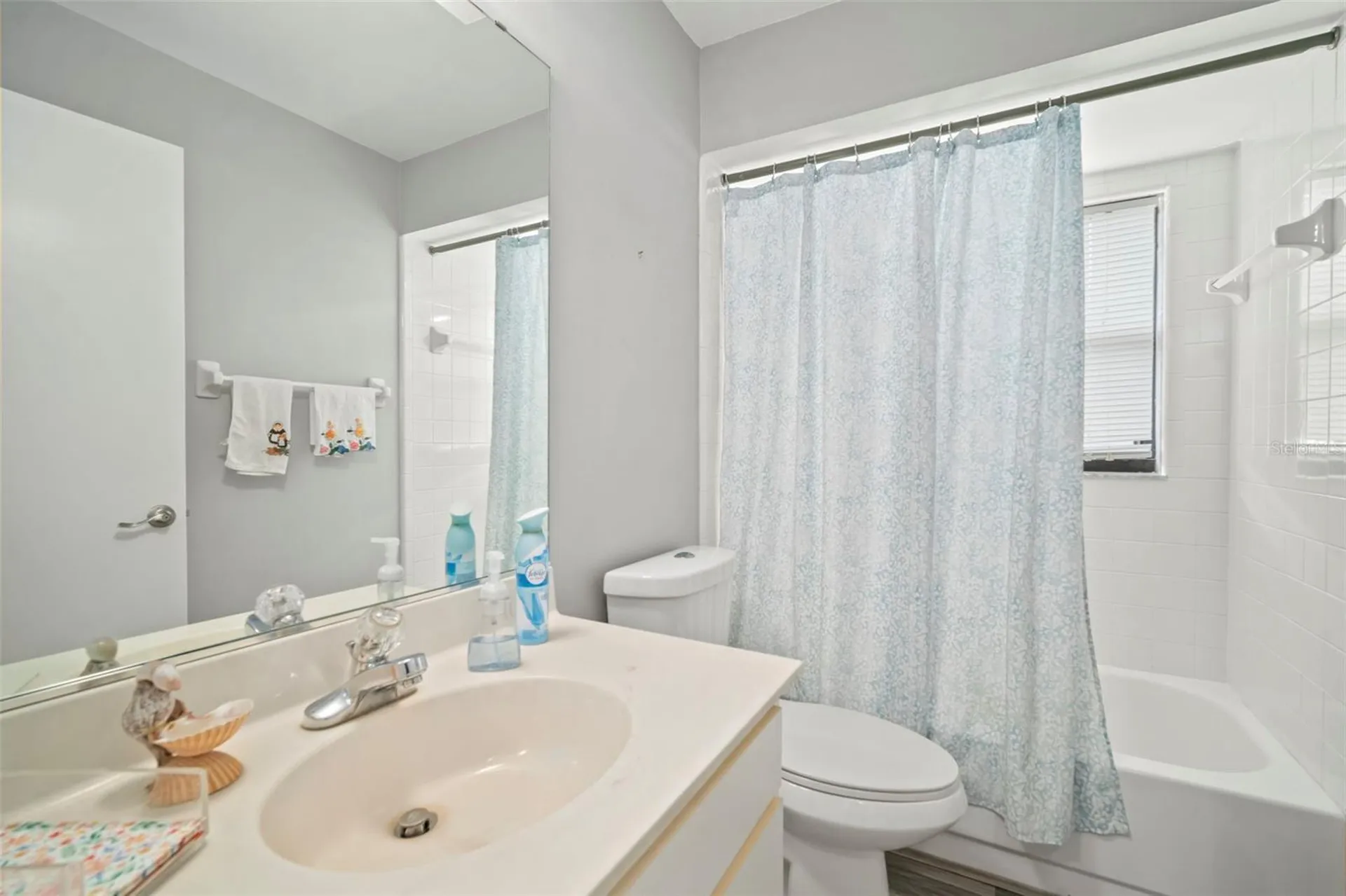 1609 Laughton Place Sun City Center FL 33573