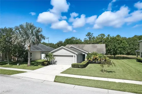6133 Evansbrook Drive Zephyrhills FL 33541