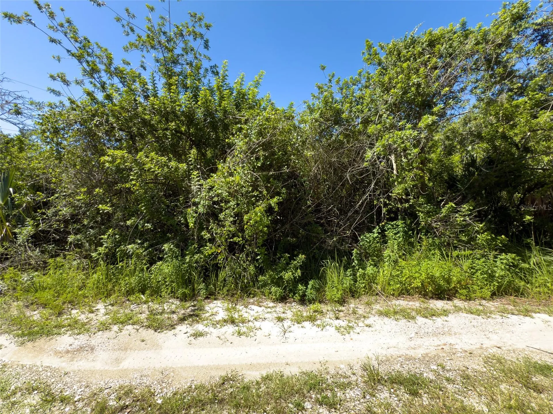 12020 Bullfrog Creek Road Gibsonton FL 33534