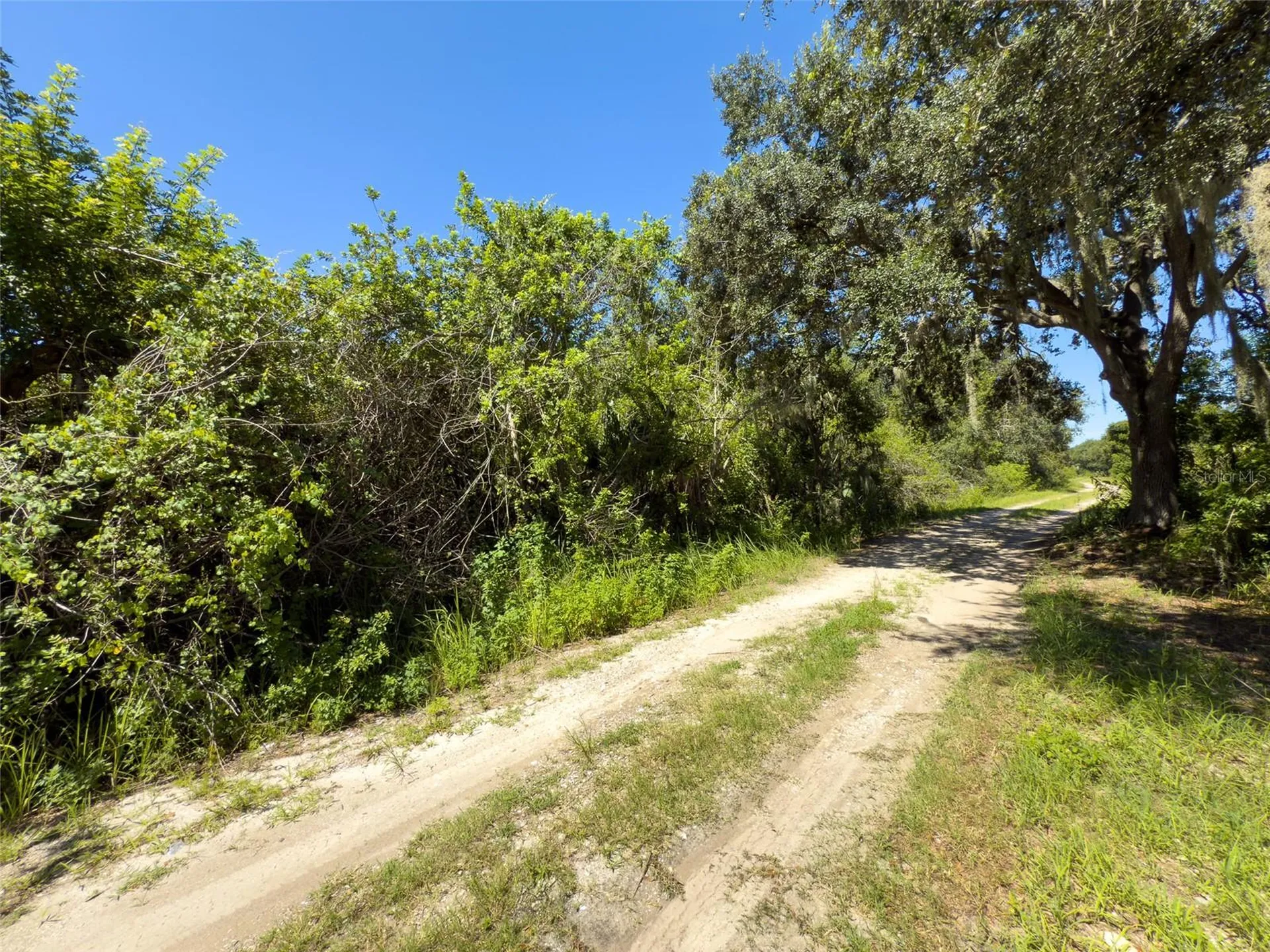 12020 Bullfrog Creek Road Gibsonton FL 33534
