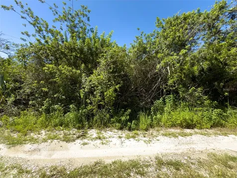 12020 Bullfrog Creek Road Gibsonton FL 33534