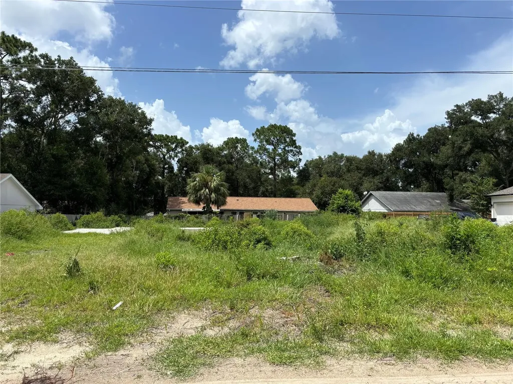 25815 Exmoor Drive Sorrento FL 32776