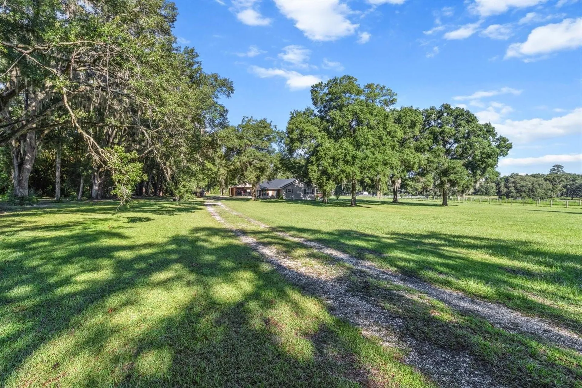 2830 NE 180th Avenue Williston FL 32696