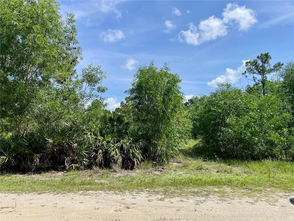 27285 Plumosa Drive Punta Gorda FL 33955