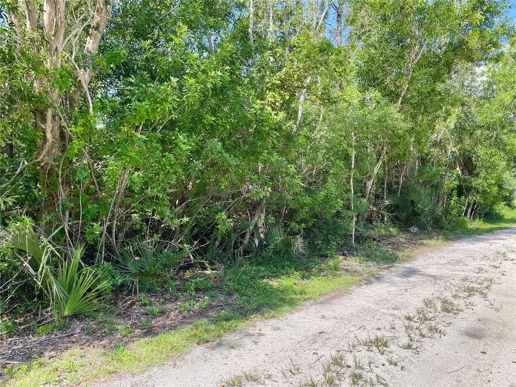 27285 Plumosa Drive Punta Gorda FL 33955