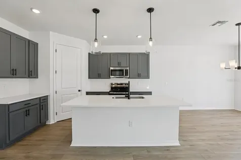 1658 Cane Bamboo Drive St Cloud FL 34771