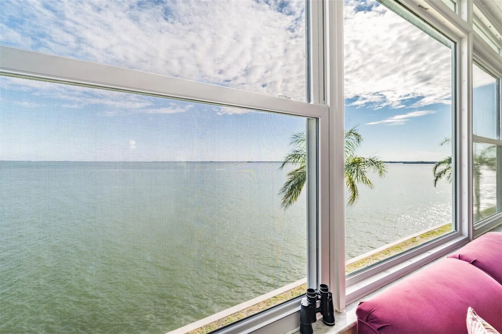 7 Dunoon Place Dunedin FL 34698