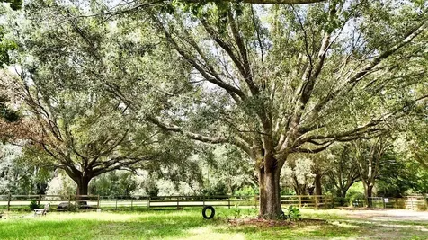 24001 NW 126th Lane Alachua FL 32615