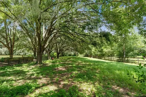 24001 NW 126th Lane Alachua FL 32615