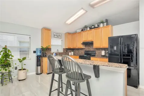2239 Roanoke Springs Drive Ruskin FL 33570