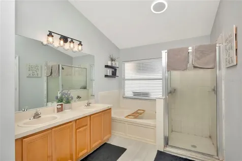 2239 Roanoke Springs Drive Ruskin FL 33570