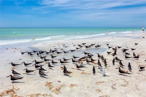 17940 Gulf Boulevard Redington Shores FL 33708