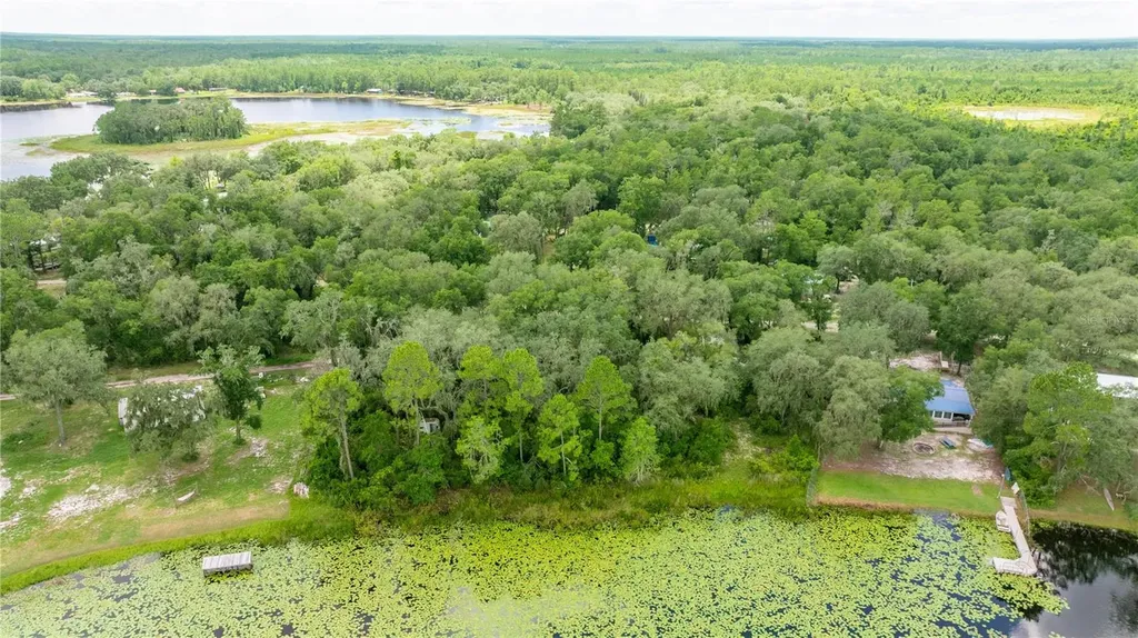 Tbd NE 224th Place Fort Mc Coy FL 32134