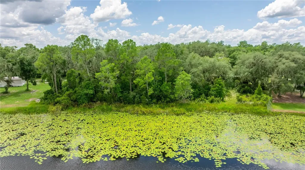 Tbd NE 224th Place Fort Mc Coy FL 32134