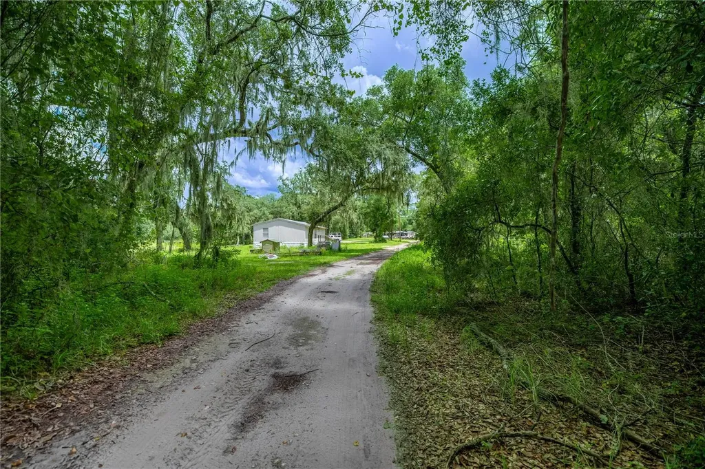 Tbd NE 224th Place Fort Mc Coy FL 32134