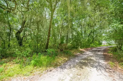Tbd NE 224th Place Fort Mc Coy FL 32134