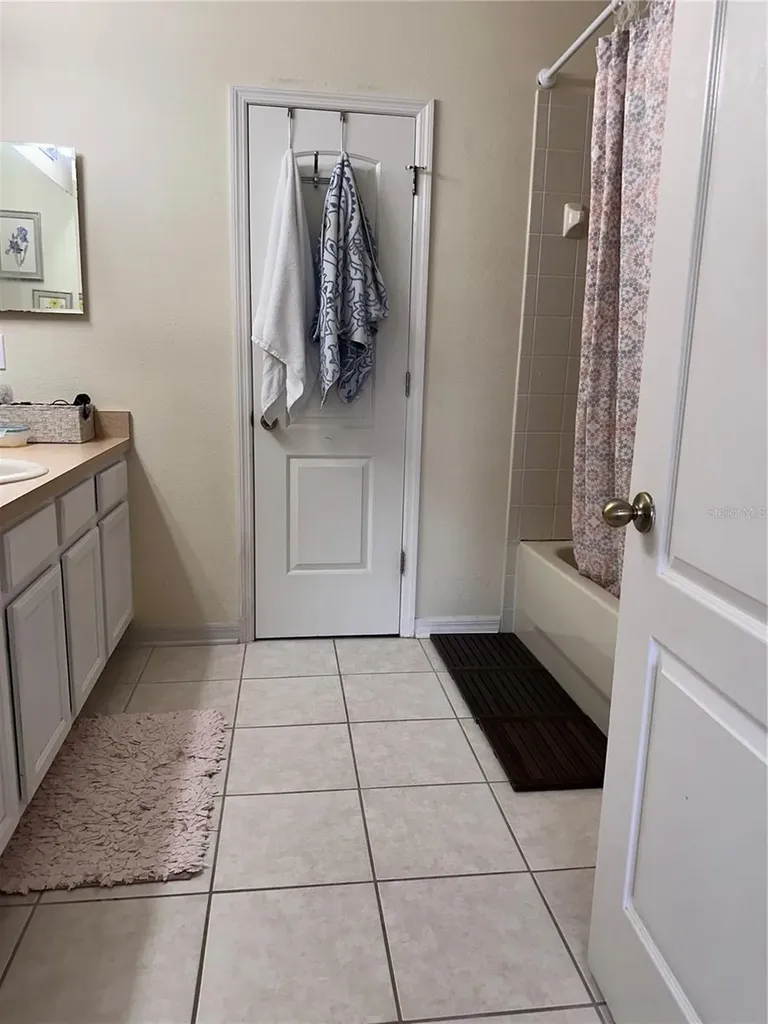 1042 N Sleepy Oak Drive Wesley Chapel FL 33543