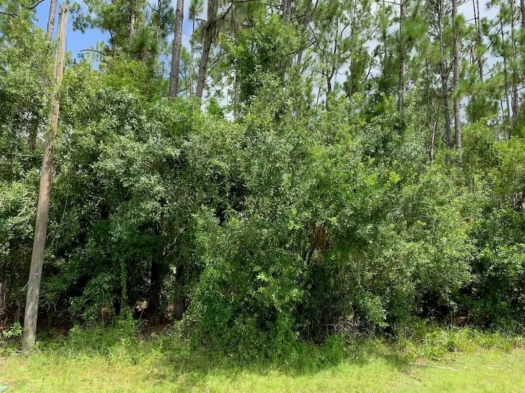 Joe Jeff Street North Port FL 34286