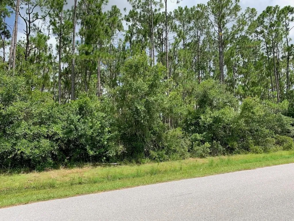 Joe Jeff Street North Port FL 34286