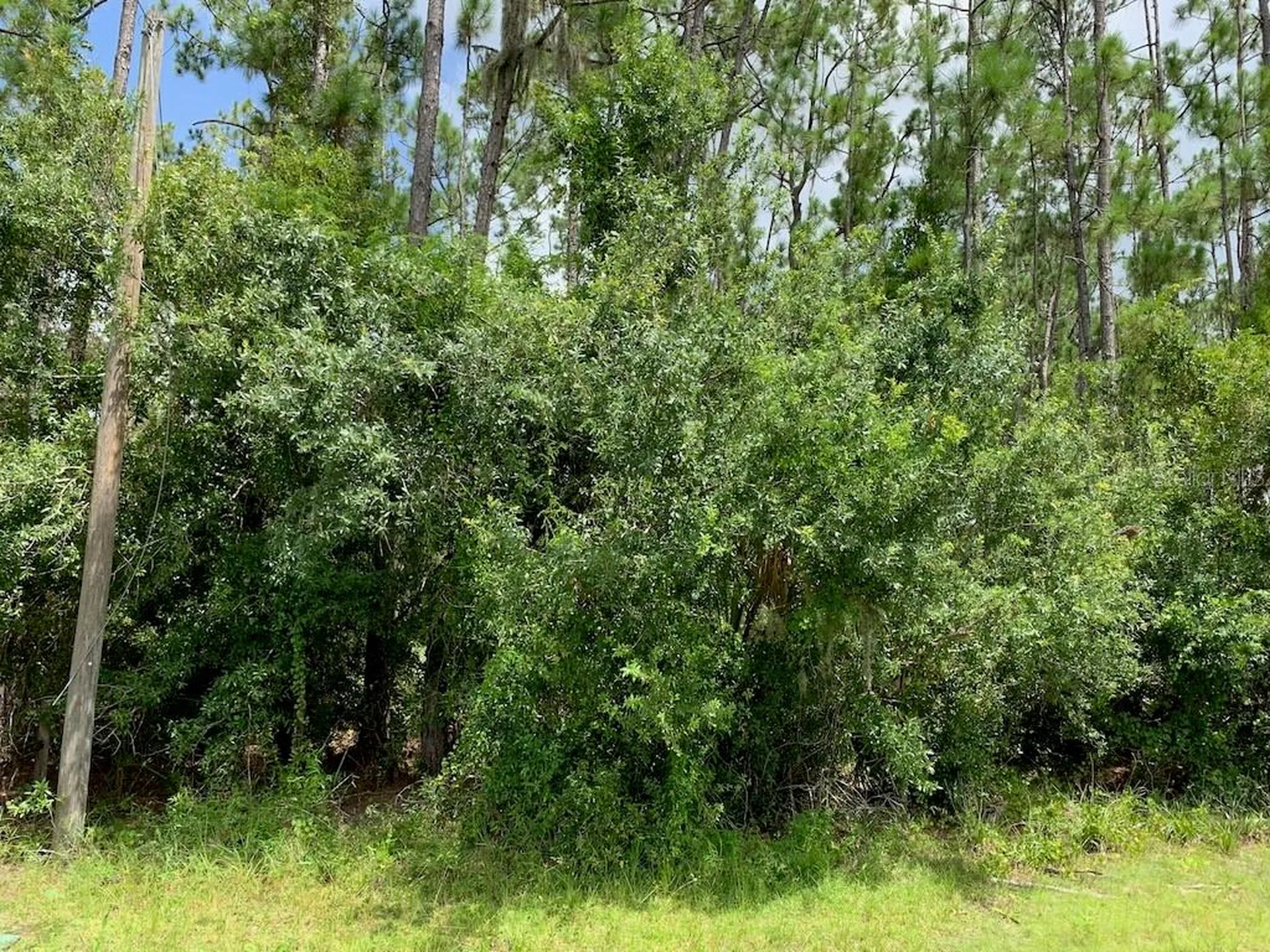 Joe Jeff Street North Port FL 34286