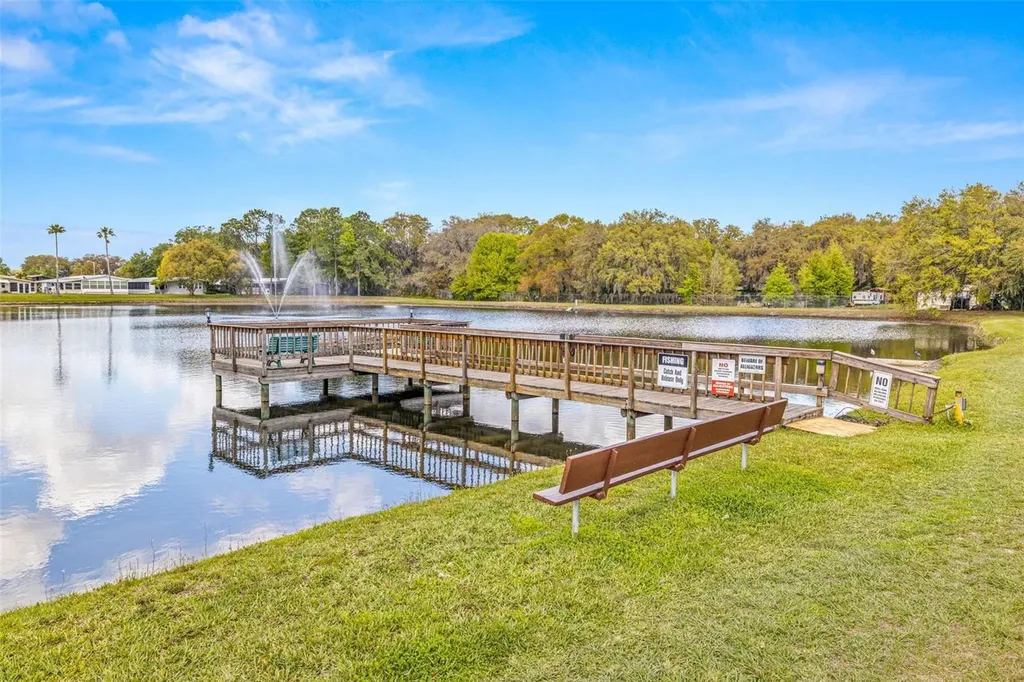 3111 Short Leaf Street Wesley Chapel FL 33543