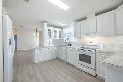 3111 Short Leaf Street Wesley Chapel FL 33543