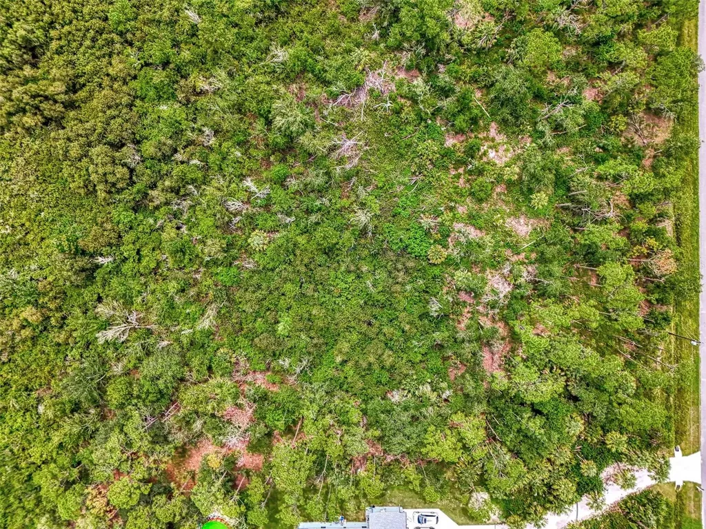 Estates Drive North Port FL 34291