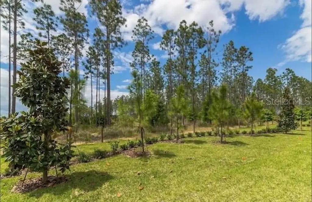 880 Pebble Beach Drive Davenport FL 33896