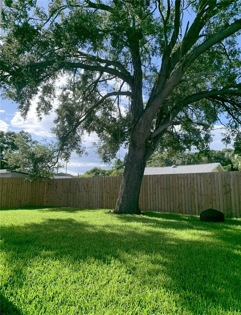 2222 E Clark Street Tampa FL 33605