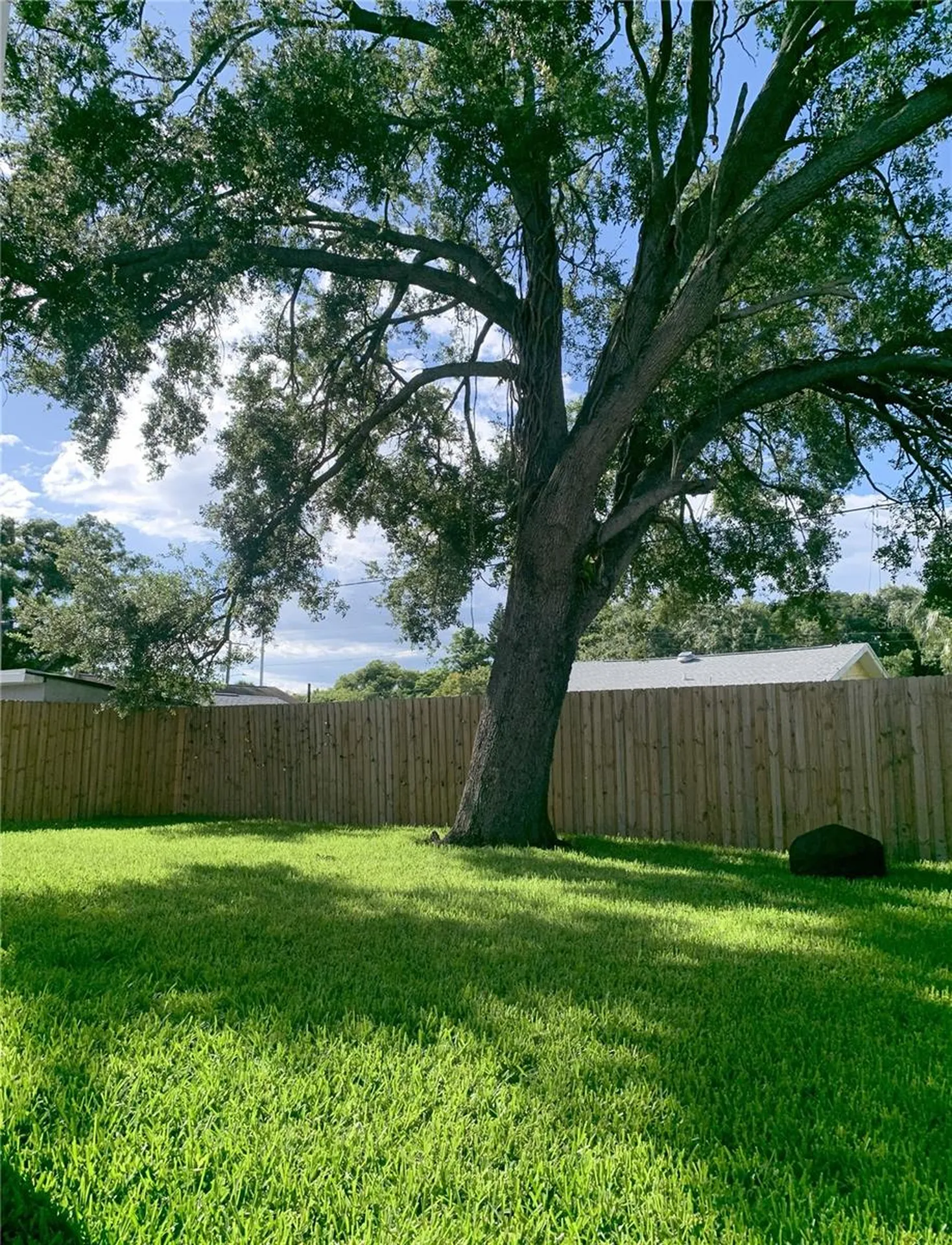 2222 E Clark Street Tampa FL 33605