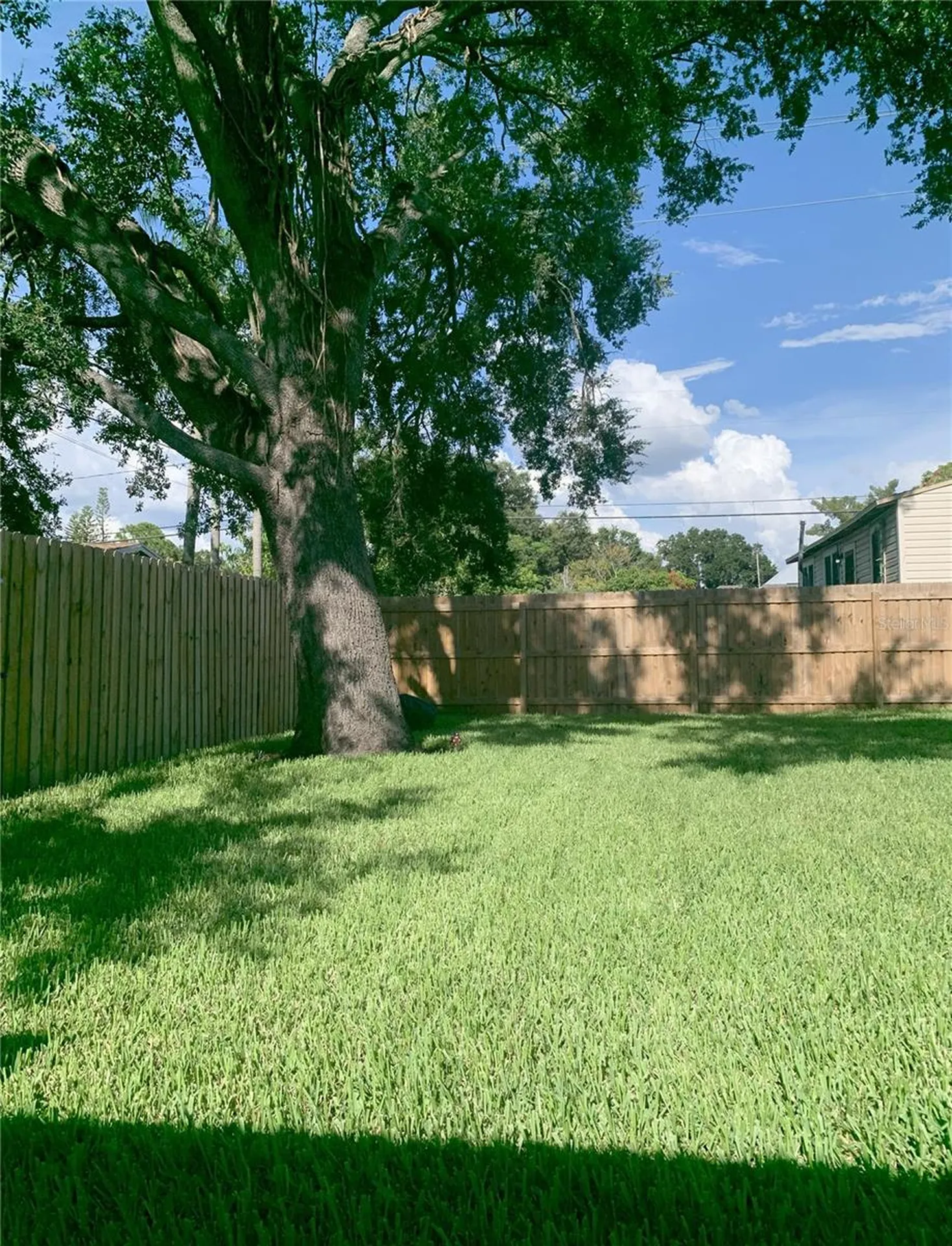 2222 E Clark Street Tampa FL 33605