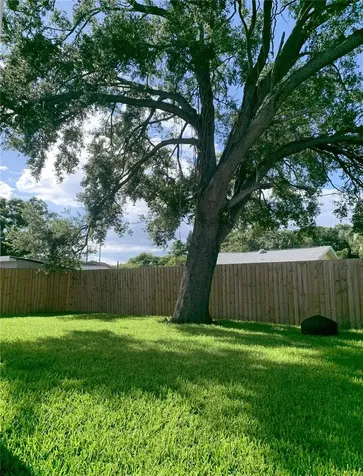 2222 E Clark Street Tampa FL 33605