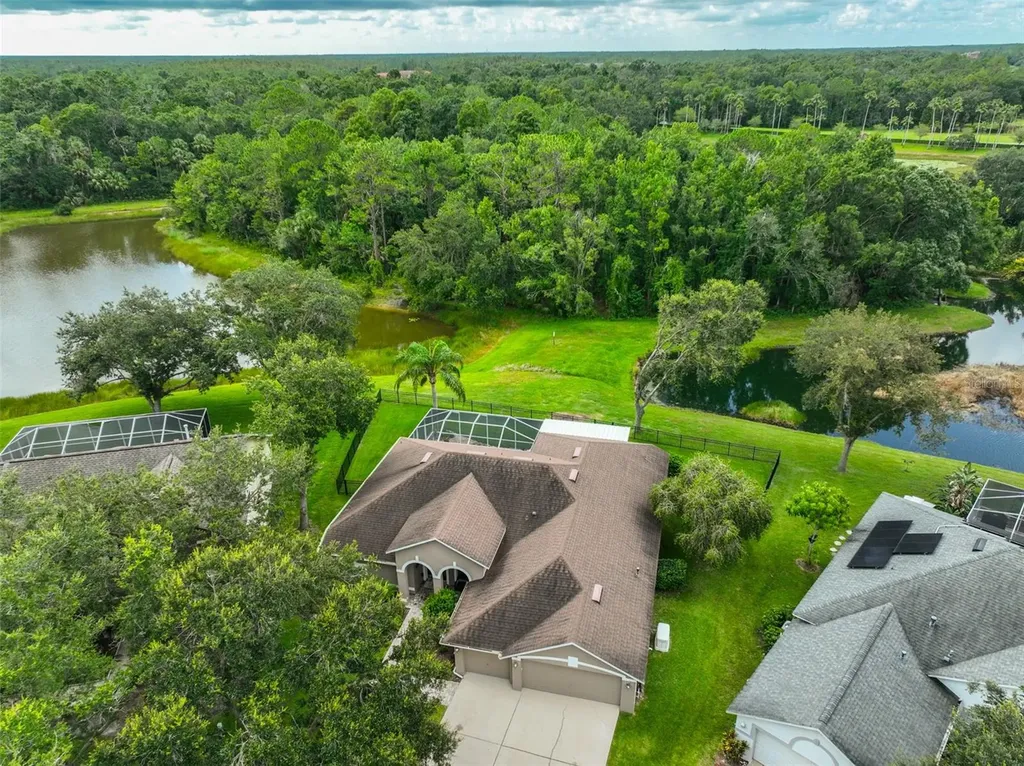 8613 Herons Cove Place Tampa FL 33647