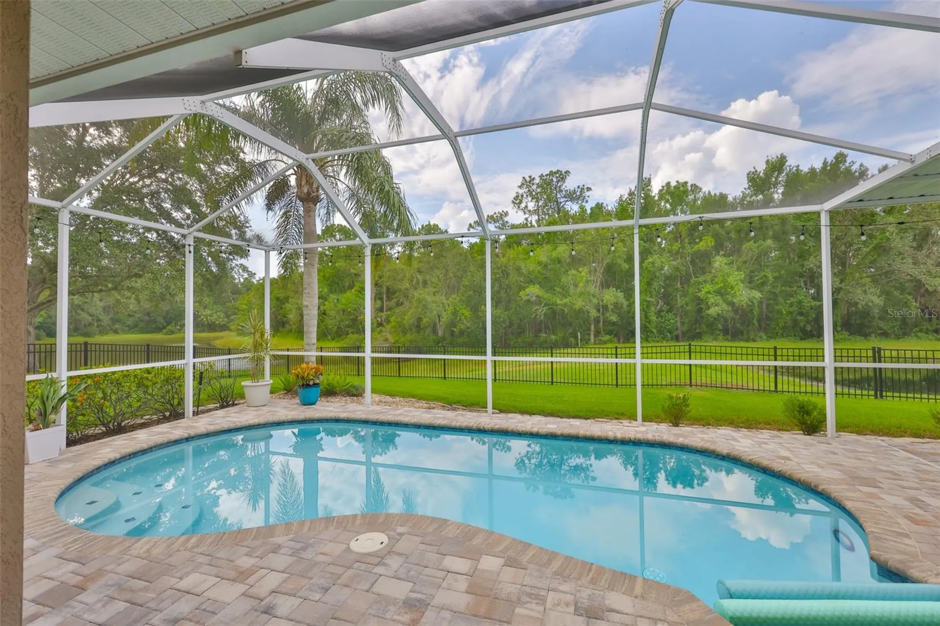 8613 Herons Cove Place Tampa FL 33647