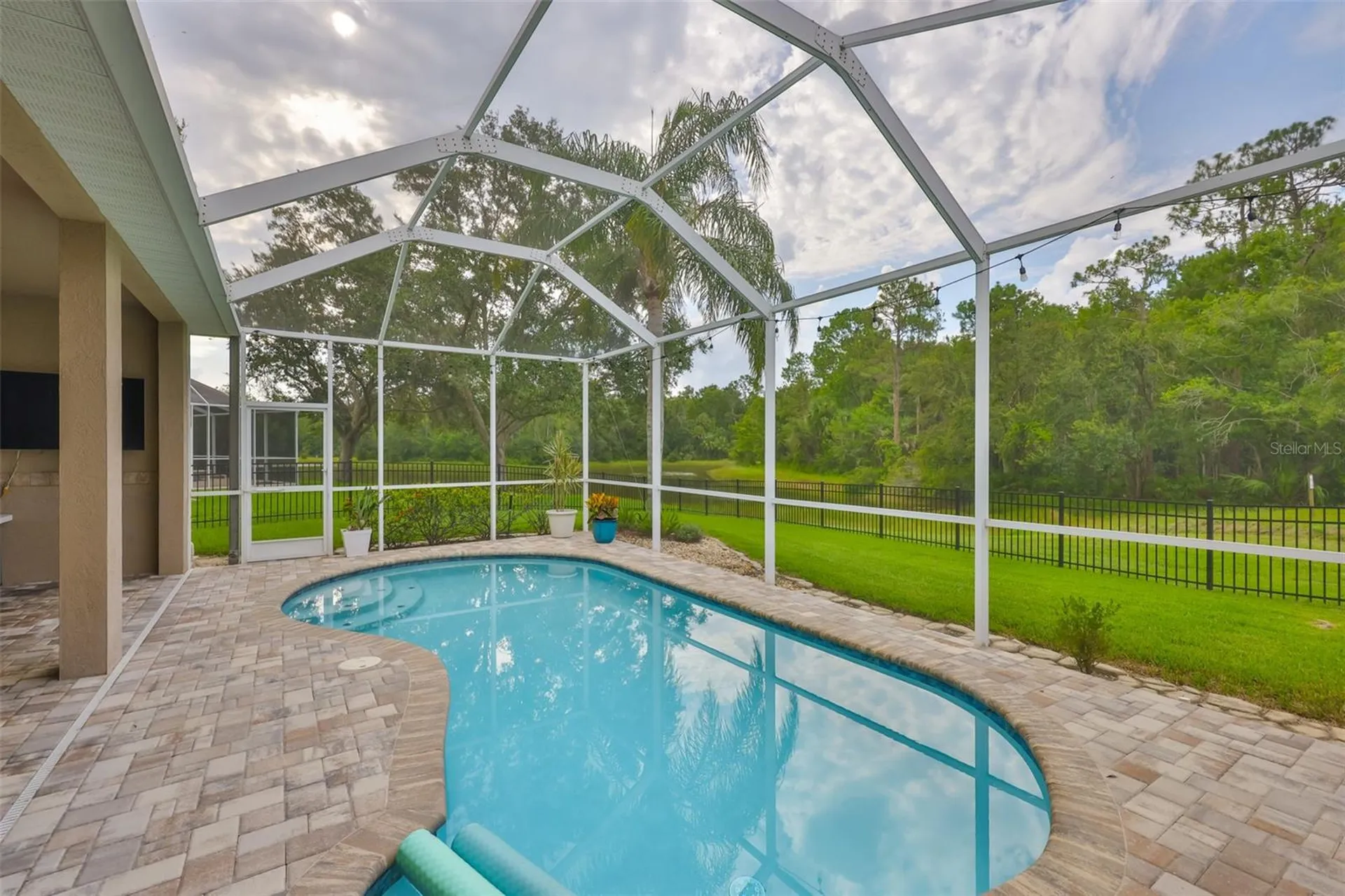 8613 Herons Cove Place Tampa FL 33647