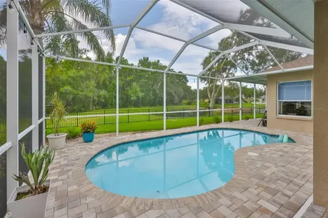 8613 Herons Cove Place Tampa FL 33647