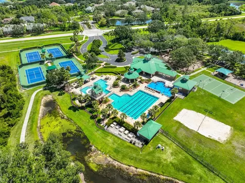 8613 Herons Cove Place Tampa FL 33647