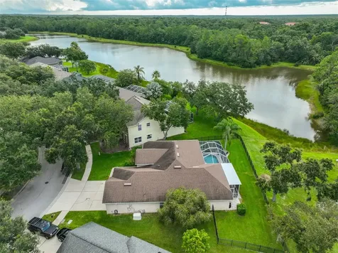 8613 Herons Cove Place Tampa FL 33647