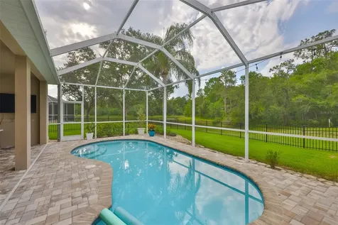 8613 Herons Cove Place Tampa FL 33647