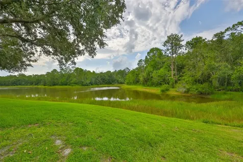 8613 Herons Cove Place Tampa FL 33647