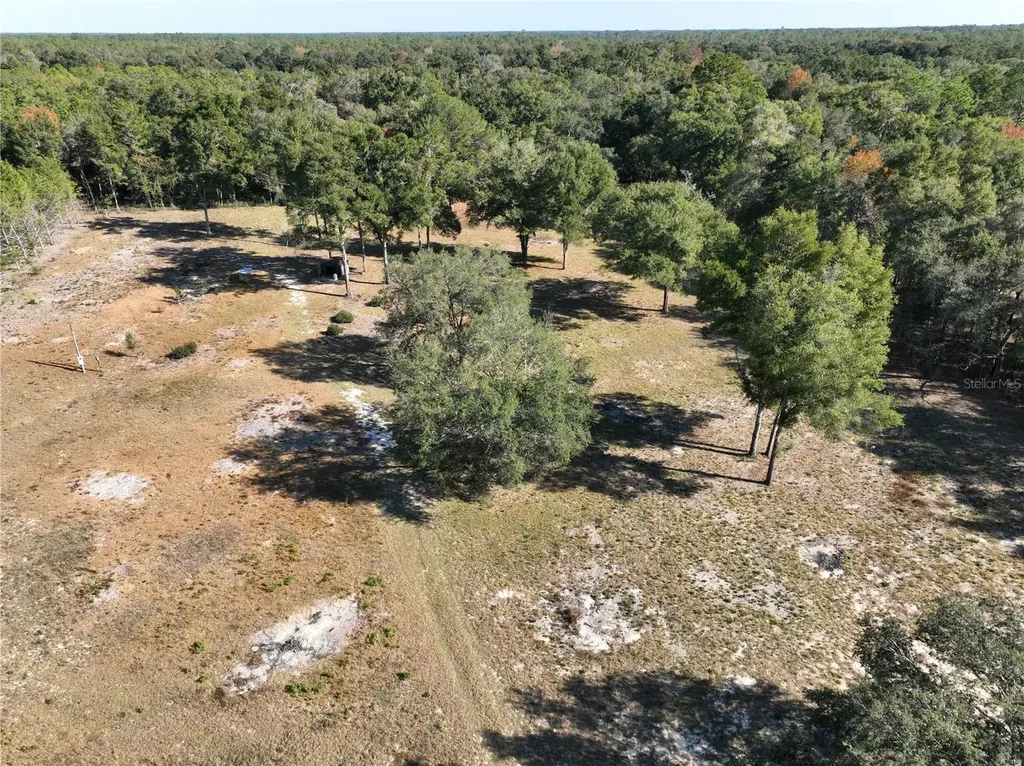 6671 NE 131st Avenue Williston FL 32696