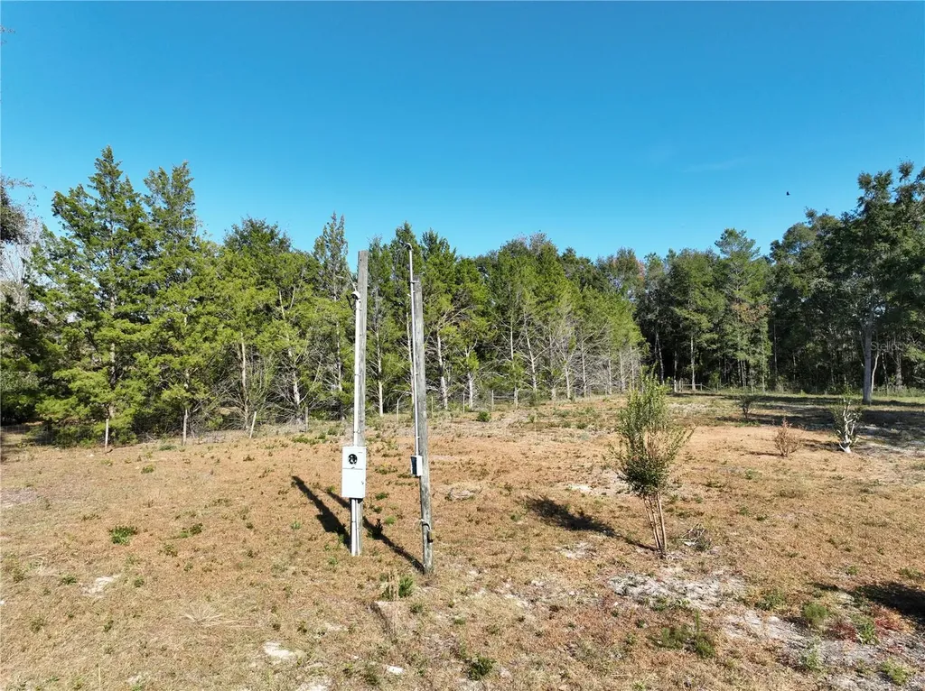 6671 NE 131st Avenue Williston FL 32696