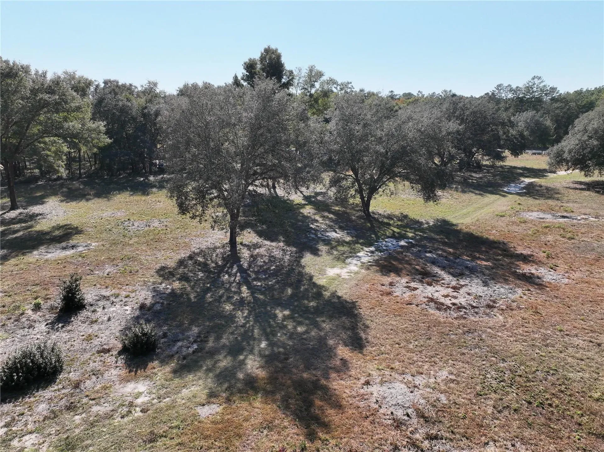 6671 NE 131st Avenue Williston FL 32696